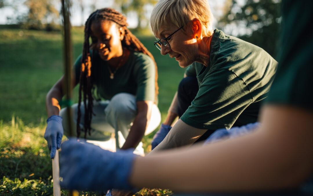 Green Skills Training in Berkshire