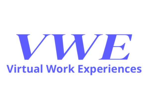 Virtual Work Experiences