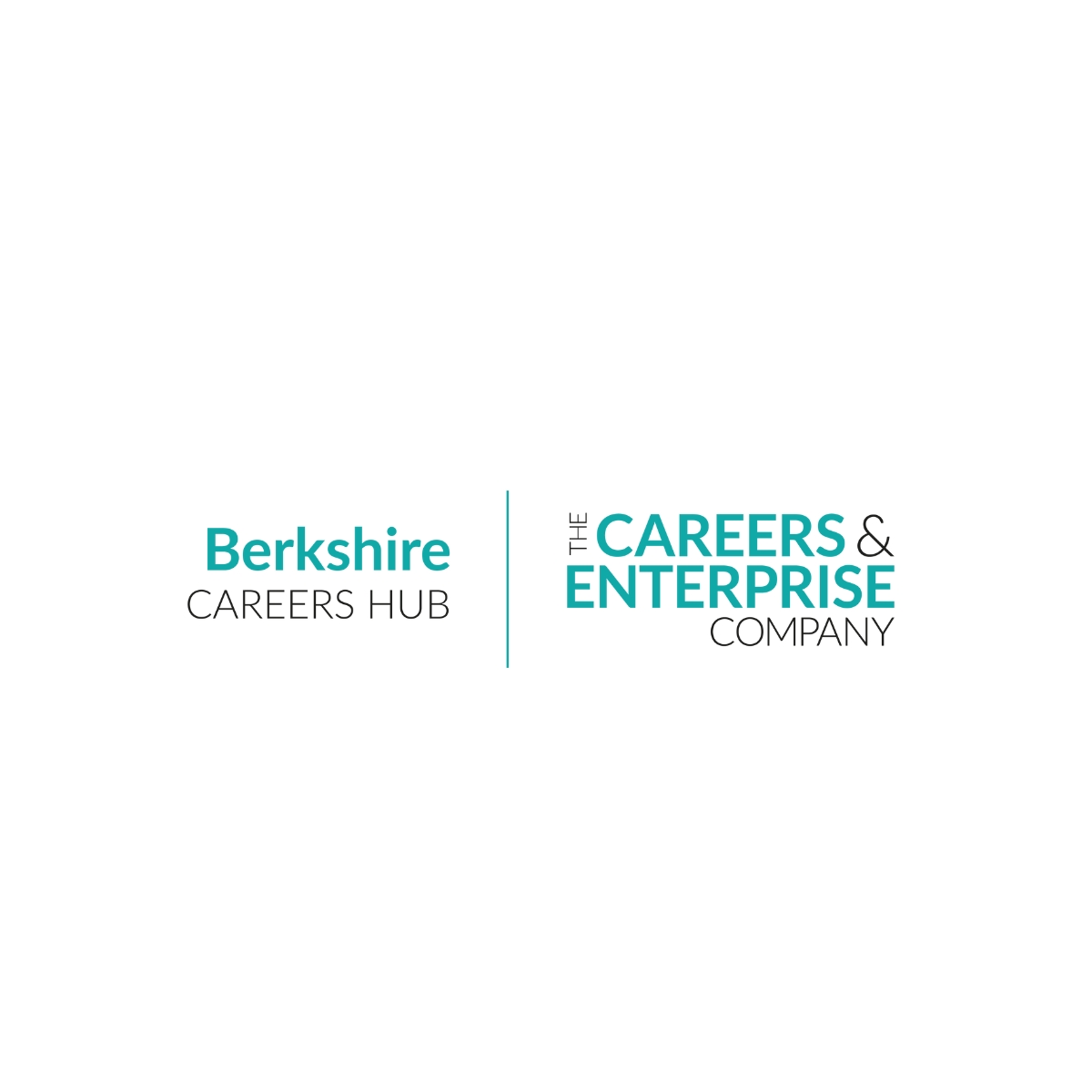 pexels-rodnae-productions-7414041 Logos of Berkshire Careers Hub and Careers & Enterprise Company, representing career development initiatives.