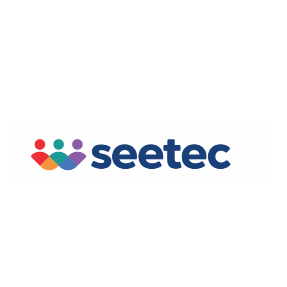 Seetec logo with three abstract human figures in red, green, and blue above blue lowercase text.