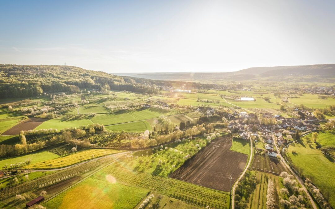 REPF business grants West Berkshire