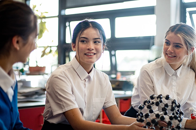 Workshops for Year 7 and 8 Students