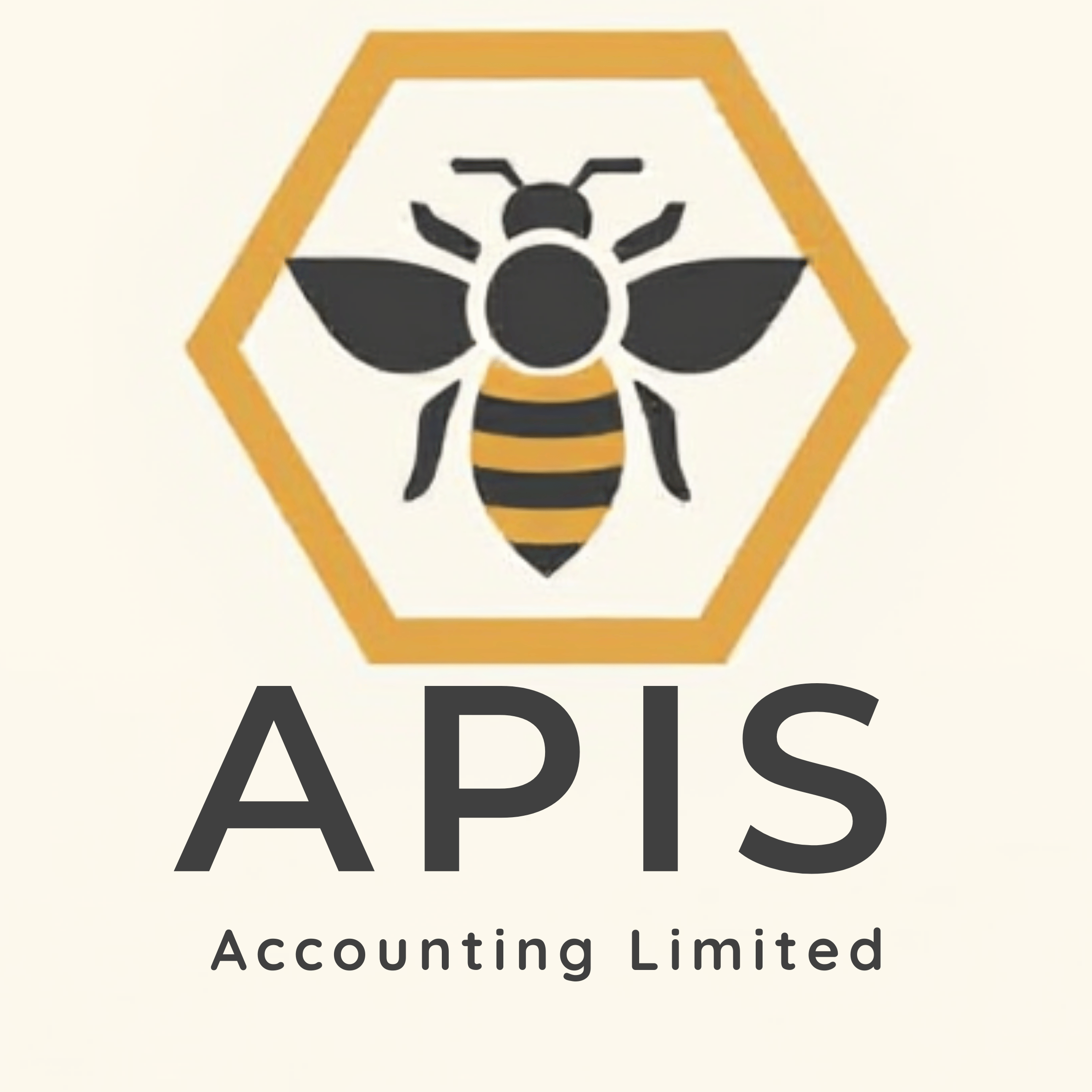 Apis Accounting Limited Logo
